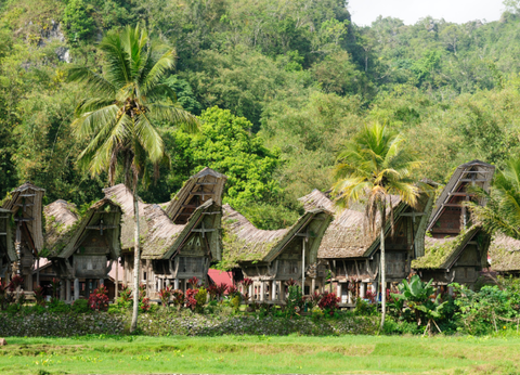 Circuit De Java au Pays Toraja - 22
