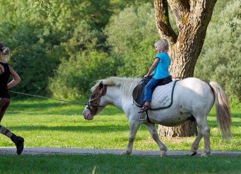 Camping Les Bords de Loue, 3* - 55