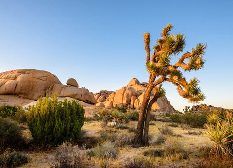Circuit Merveilleux Ouest américain et les Rocheuses - 27