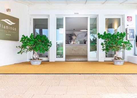 Hôtel Flamingo Resort 4* - 4