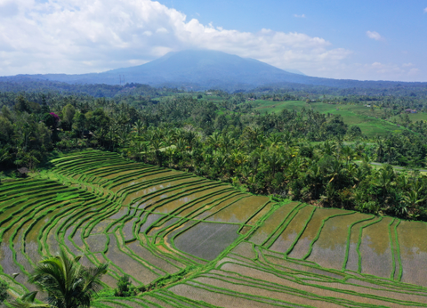 Circuit Beautés Balinaises - 12