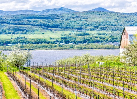 Circuit Grand Angle sur l'Est du Canada - 14