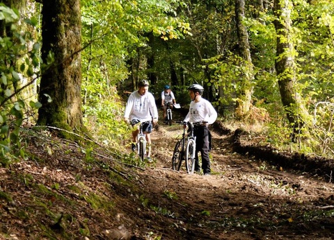 Flower Camping La Plage, 3* - 33