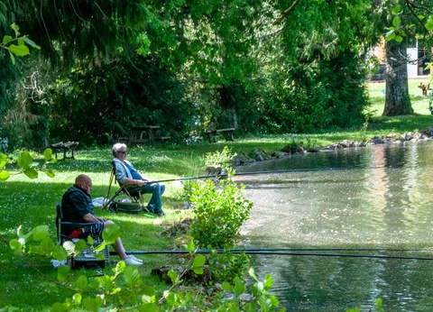 Camping les Etangs du Plessac 4* - 8