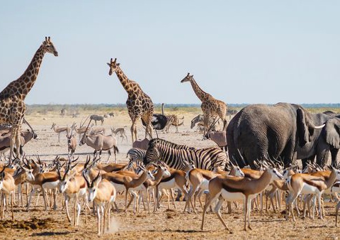 Circuit Merveilles de Namibie et Séjour Chobe et Chutes Victoria 18J/15N - 5