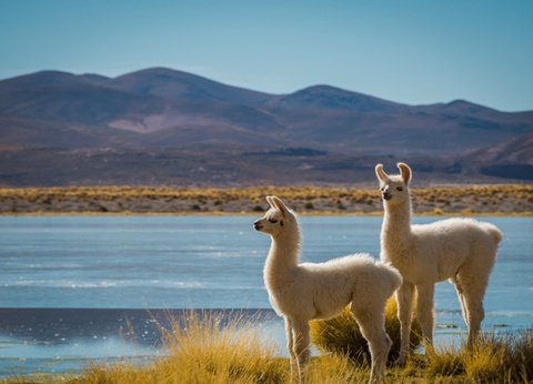 Circuit Authentique Pérou 3* - 3