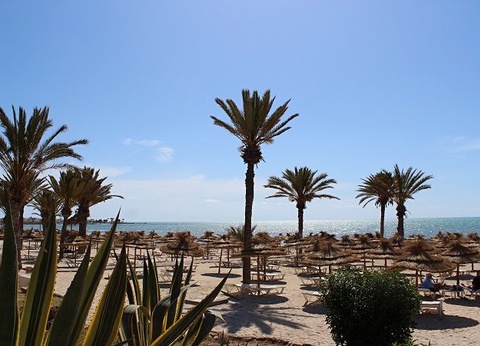 Hôtel Royal Karthago Djerba & Thalasso 4* - 4