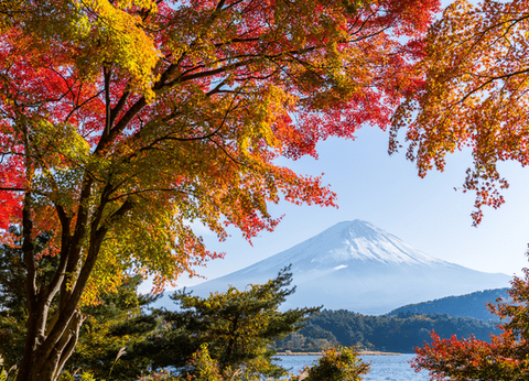 Circuit Merveilles Nippones et Tokyo à sa guise - 20