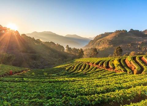 Circuit Privatif Secrets du Siam - 21