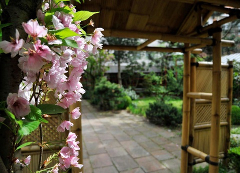 Détendez-vous à Bruges, la Venise du nord (à partir de 2 nuits) - 4* - 7