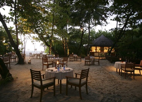 Hôtel Coco Palm Dhuni Kolhu Resort et Spa 4* Sup - 3