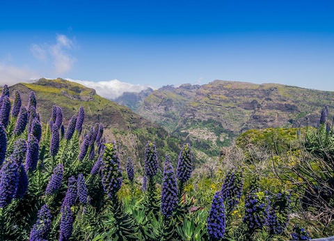 Circuit Joyaux de Madère - Hôtel Do Centro 3* - 12