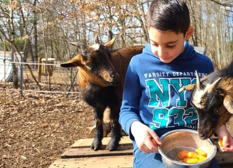 Camping Domaine Du Bois Coquet, 3* - 29