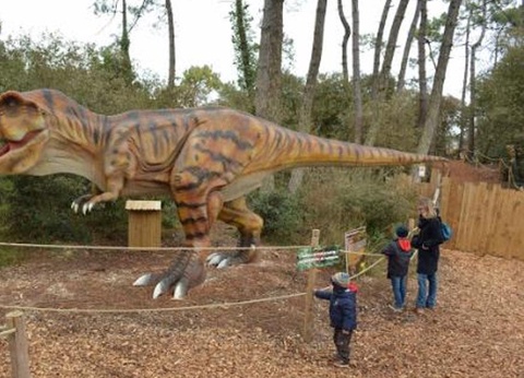 Camping L'Abri des Pins, 4* - 248