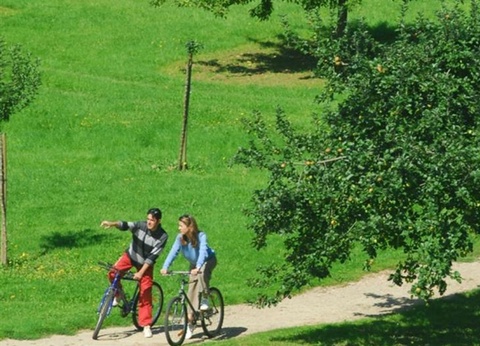 Camping de la Forêt Jumièges, 4* - 21