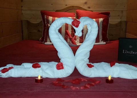 Domaine Saint Cerice, 1* - 38