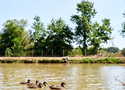 Camping Paradis la Bretonnière, 4* - 47