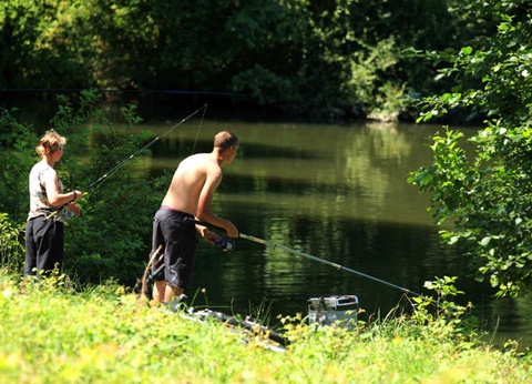 Marvilla Parks Château La Forêt, 4* - 43
