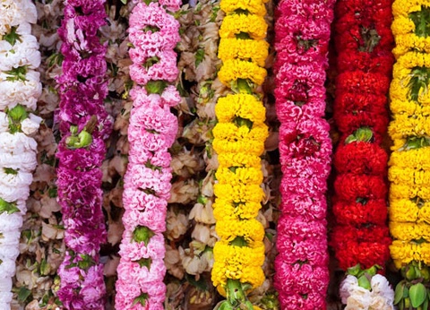 Circuit Népal, terre de contrastes et traditions - 27