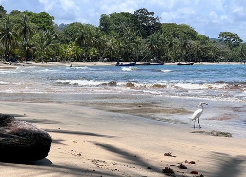 Circuit Immersion au Costa Rica - 11