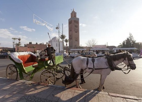 Combiné circuit et hôtel Boucles Sahariennes en 4x4 et extension Framissima Les Idrissides **** - 7
