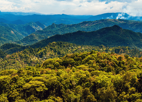 Circuit Merveilles du Kerala en Privatif - 39