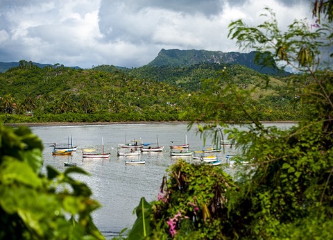 Isla Cubana - Eté 2025 - 2