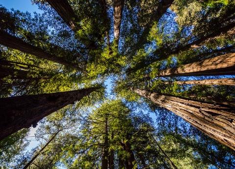 Circuit Sentiers de l'Ouest - De Los Angeles à San Francisco - 3