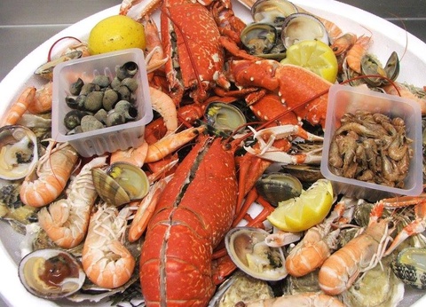 Camping West, 3* - 26