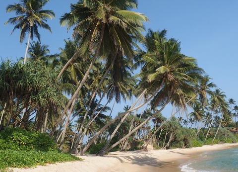 Circuit Evasion au Sri Lanka - 19