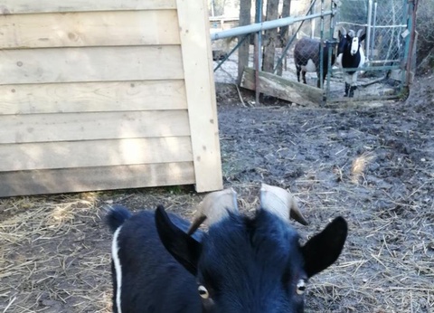 Domaine Vallée Du Tarn, 3* - 40