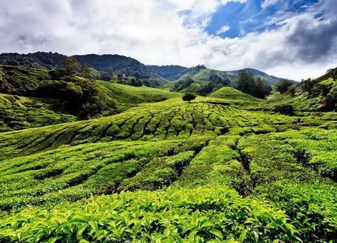 PENINSULE ETINCELANTE - 8