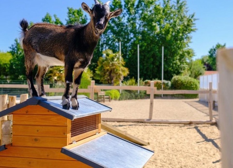 Camping Le Grand Pré, 2* - 8