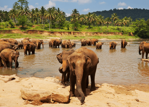 Circuit Sur la route des Epices - 20