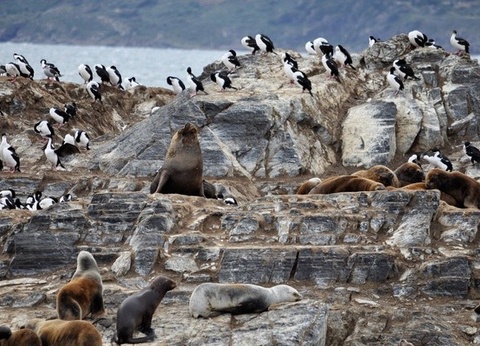 Circuit L'Argentine des grands espaces + pré-tour Ushuaia et El Calafate (maximum 16 participants) - 3