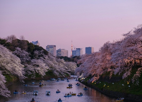 Séjour Tokyo avec Parc d’attraction au choix - 10