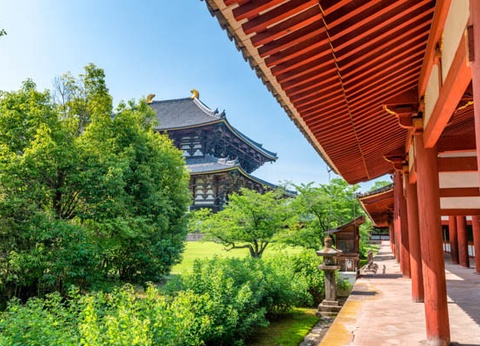 Circuit Traditions et culture du Japon 3* - 26