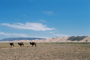 Mongolie, terre nomade + Gobi - 6