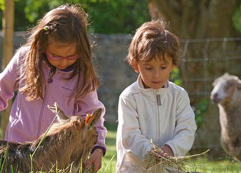 Domaine Château Laval, 3* - 13