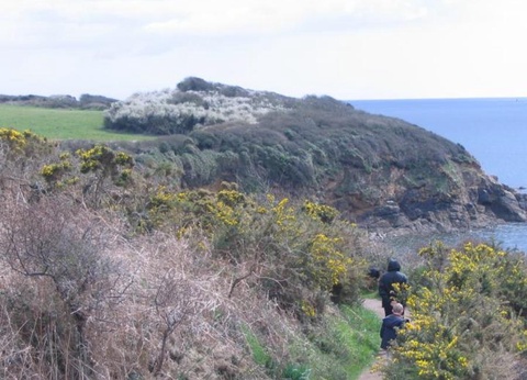 Flower Camping le Kergariou, 3* - 119