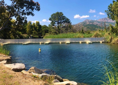 Camping Dolce Vita 3* - 16