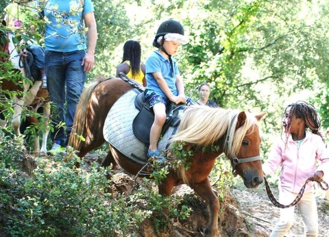 Camping L'Abri des Pins, 4* - 138