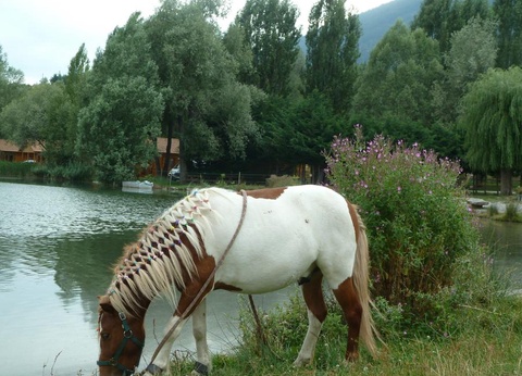Camping La Motte Flottante - 11
