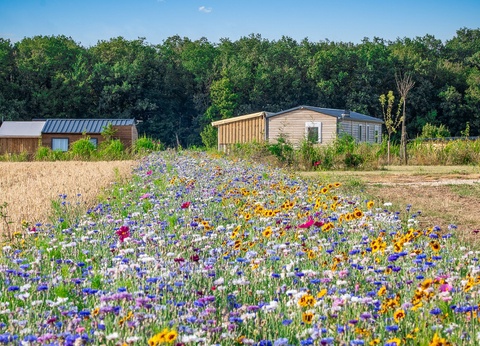 Camping Ferme Pédagogique de Prunay 4* - 3