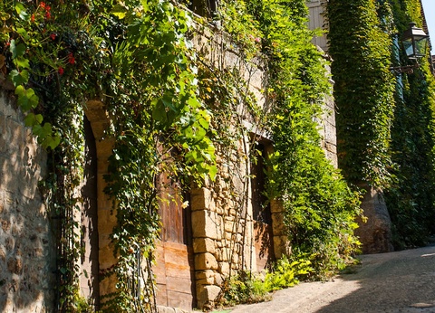 Séjour de charme à proximité du centre historique de Sarlat - 3* - 13