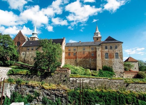 Circuit Merveilles des Fjords & Croisière Côtière - 14