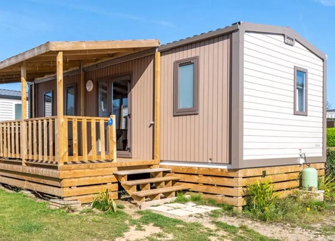 Flower Camping Vitamin, 4* - 25