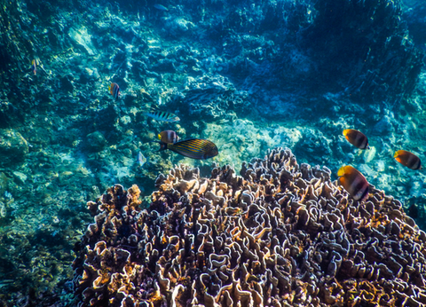 Circuit Panorama Balinais Charme et Privatif - 20