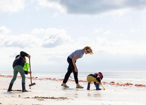 Flower Camping La Davière Plage, 4* - 88