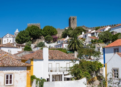 Circuit Toutes les saveurs du Portugal 4* - 9